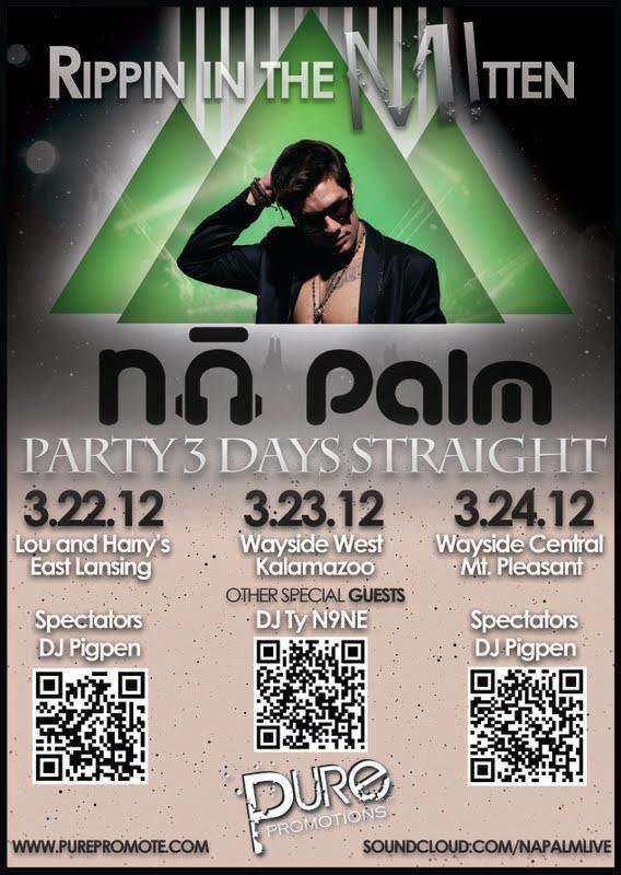 Nā Palm Ripping in the Mitten Flyer